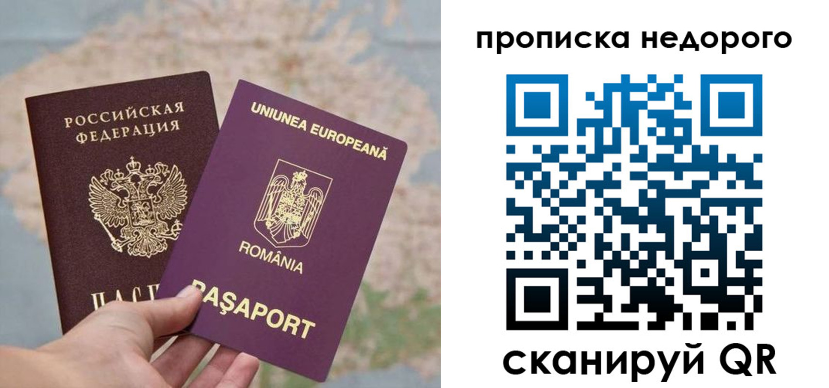 прописка для школы в Чкаловске