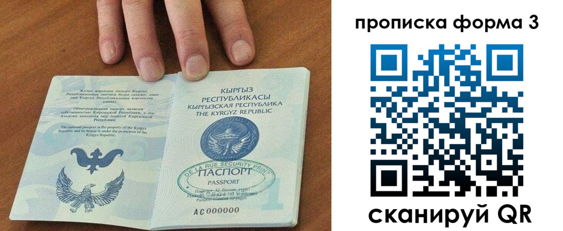 где прописаться в Чкаловске